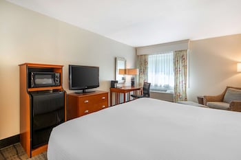 Standard Room, 1 King Bed, Non Smoking, Refrigerator