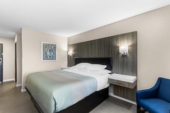 Standard Room, 1 King Bed, Non Smoking