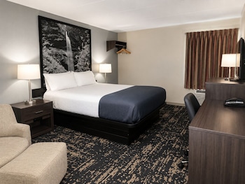 Room, 1 King Bed, Smoking