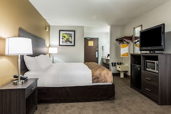 Standard Room, 1 Queen Bed, Non Smoking