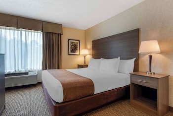 Standard Room, 1 King Bed, Non Smoking, Jetted Tub