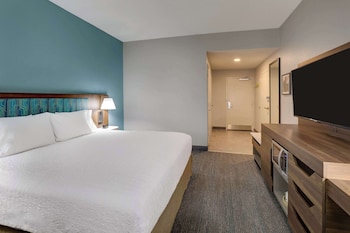 Room, 1 King Bed, Accessible, Non Smoking