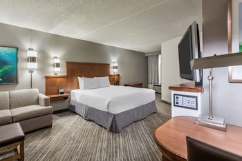 Room, 1 King Bed, Accessible