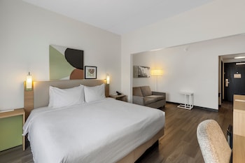 Studio, 1 King Bed
