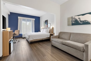 Studio, 1 King Bed