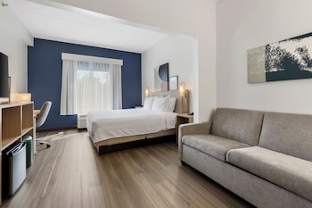 Studio, 1 King Bed