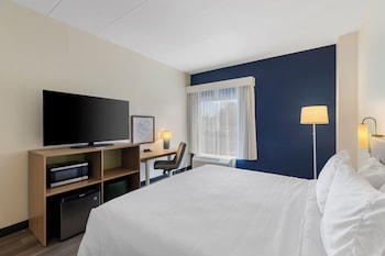 Room, 1 King Bed with Sofa bed, Accessible (Roll-In Shower)
