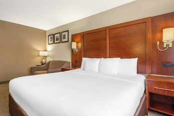 Standard Suite, 1 King Bed with Sofa bed, Non Smoking
