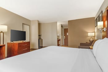 Standard Suite, 1 King Bed with Sofa bed, Non Smoking