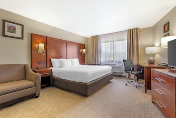 Standard Suite, 1 King Bed with Sofa bed, Non Smoking