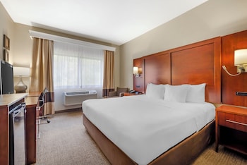 Room, 1 King Bed, Accessible, Non Smoking