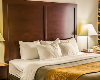 Room, 1 King Bed, Accessible, Non Smoking