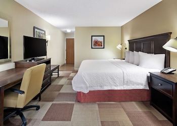 Room, 1 King Bed, Accessible, Non Smoking