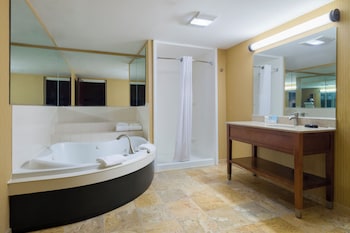 Standard Room, 1 King Bed With Shower & 1 Person Whirlpool