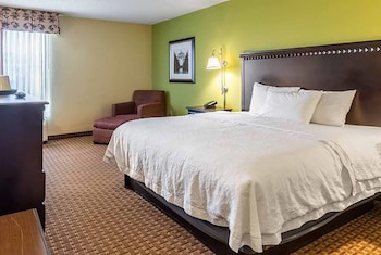 Room, 1 King Bed, Non Smoking