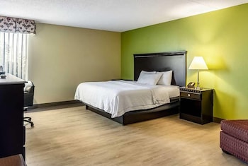 1 King Bed, Mobility Accessible Room, Bathtub w/ Grab Bars, Non-Smoking