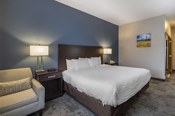 Room, 1 King Bed, Accessible, Non Smoking