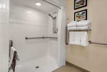 Suite, 1 Queen Bed with Sofa bed, Accessible, Non Smoking