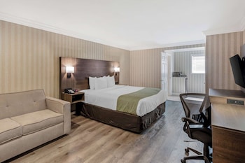 Standard Room, 1 King Bed, Sofa Bed, Non Smoking