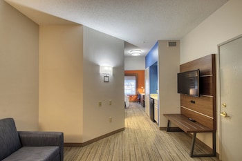Suite, 1 King Bed with Sofa bed