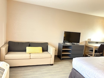 Standard Room, 1 King Bed with Sofa bed, Non Smoking