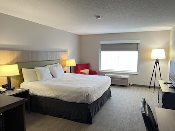 Standard Room, 1 King Bed, Non Smoking