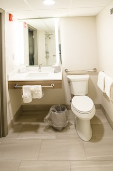 Standard Room, 1 King Bed, Accessible (Communication, Roll-In Shower)