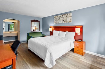 Room, 1 King Bed