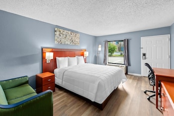 Room, 1 King Bed