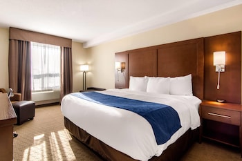 Room, 1 King Bed, Non Smoking
