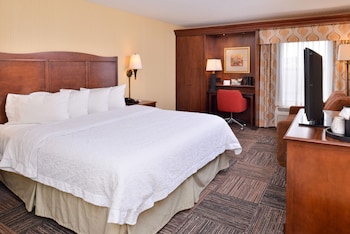 Room, 1 King Bed