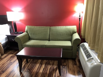 Standard Room, 1 King Bed with Sofa bed, Non Smoking
