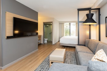 Room, 1 King Bed (High Floor)