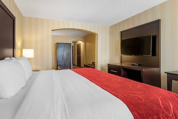 Suite, 1 King Bed with Sofa bed, Accessible, Non Smoking (Roll-In Shower)