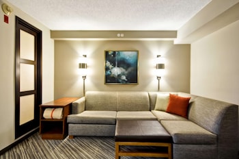 Room, 1 King Bed (High Floor, Sofabed)