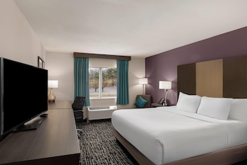 Room, 1 King Bed, Non Smoking