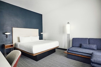 Room, 1 King Bed with Sofa bed