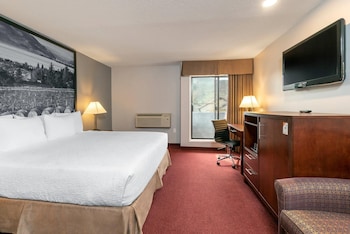 Standard Room, 1 King Bed, Non Smoking (No Pets)