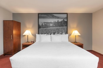 Standard Room, 1 King Bed, Non Smoking (No Pets)