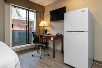 Room, 1 Queen Bed, Non Smoking (Efficiency) (No Pets)