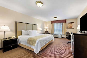 Standard Room, 1 King Bed, Accessible, Non Smoking