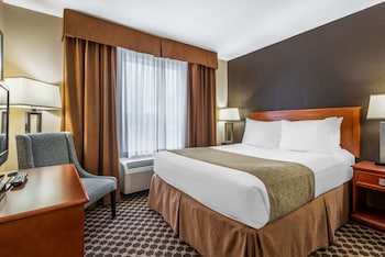 Standard Room, 1 King Bed, Non Smoking, Jetted Tub (Larger Room;with Sofabed)