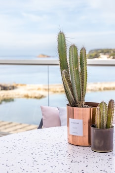 Exception, Sea View