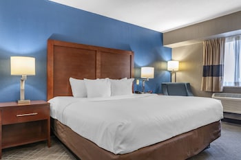 Room, 1 King Bed, Non Smoking