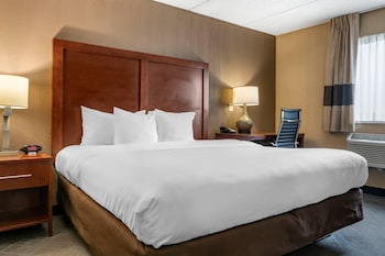 Room, 1 King Bed, Accessible, Non Smoking (Roll-In Shower)
