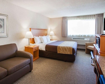 Standard Room, 1 King Bed, Accessible, Non Smoking