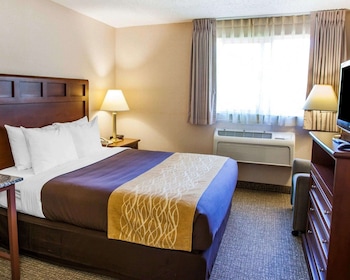 Standard Room, 1 Queen Bed, Non Smoking