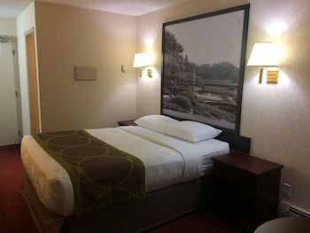 Standard Room, 1 Queen Bed (Ground Floor)