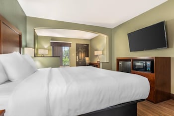 Suite, 1 King Bed with Sofa bed