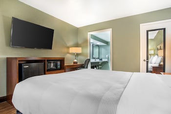 Room, 1 King Bed, Accessible, Non Smoking